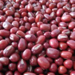 Pictures of Adzuki bean
