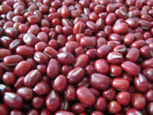 Pictures of Adzuki bean