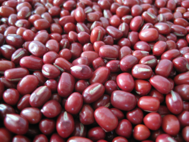 Pictures of Adzuki bean