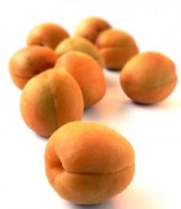 Apricot Kernel Photos Photos of Apricot Kernel