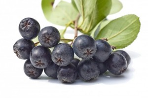 Aronia Berry