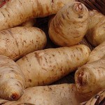 Pictures of Arracacha