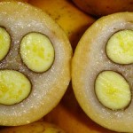 Pictures of Bacupari