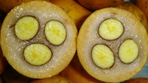 Bacupari Pictures Pictures of Bacupari