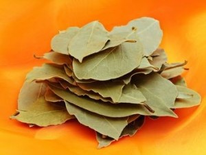 Bay Leaf Picture