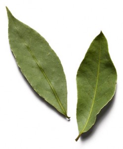Pics of Bay Leaf