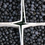 Bilberry Picture