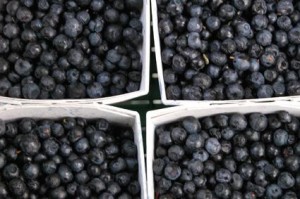 Bilberry Picture