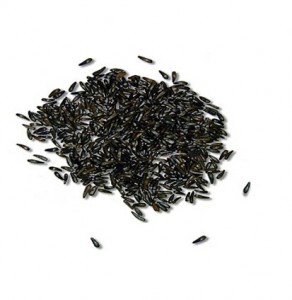 Image of Black Cumin