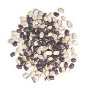 Black Gram Images Images of Black Gram