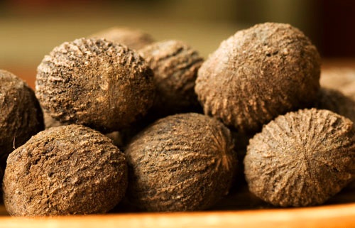 Photos of Black Walnut