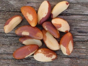 Brazil nut Brazil nut Picture