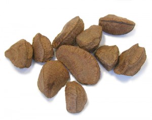 Brazil nut Photos Photos of Brazil nut