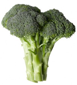 Photos of Broccoli