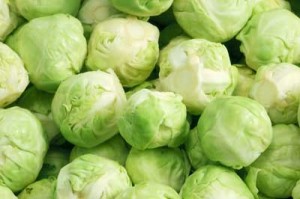 Pictures of Brussels Sprouts