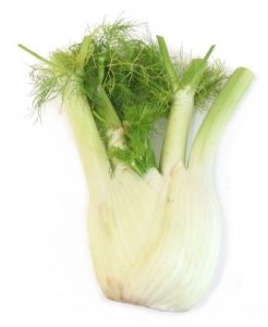 Bulb Fennel