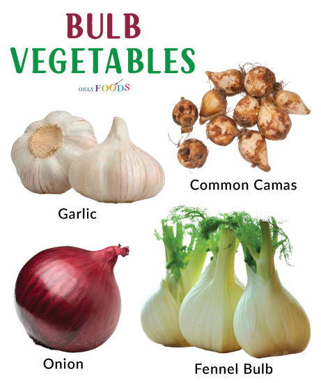 Bulb Vegetables
