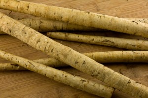 Greater Burdock Root Greater Burdock Root Image