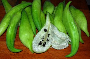 Caigua Caigua Picture