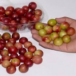 Pictures of Camu Camu