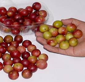 Pictures of Camu Camu