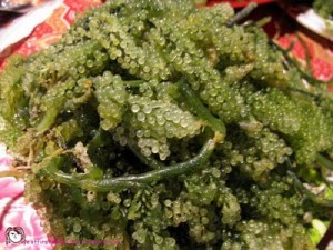 Photos of Caulerpa Lentillifera