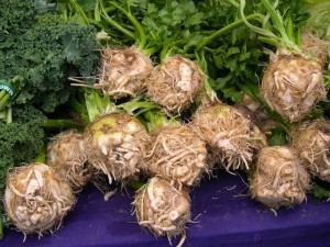 Celeriac Images Images of Celeriac