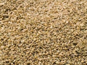 Images of Celery Seed