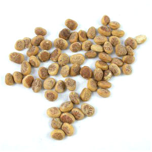 Charoli Pictures Pictures of Charoli