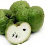 Cherimoya pictures