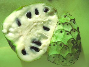 Cherimoya seeds pictures