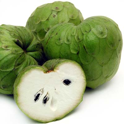 Cherimoya pictures