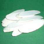 Pictures of Chinese Yam