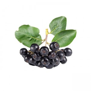 Chokeberry Fruit