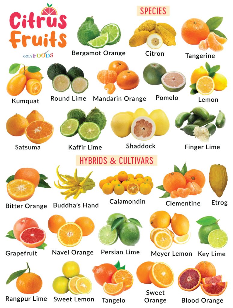 Citrus Fruits