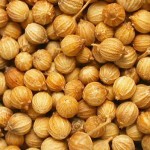 Photos of Coriander Seeds (Coriandrum sativum)