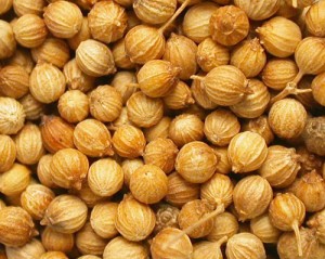 Photos of Coriander Seeds