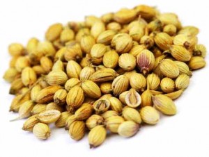 Pictures of Coriander Seeds (Coriandrum sativum)