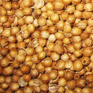Coriander Seeds Coriander Seeds Picture