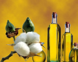 Image of Cottonseed Oil