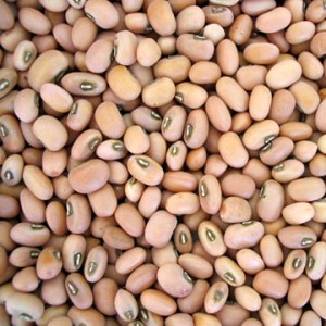 Cowpea Cowpea Picture