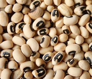 Images of Cowpea