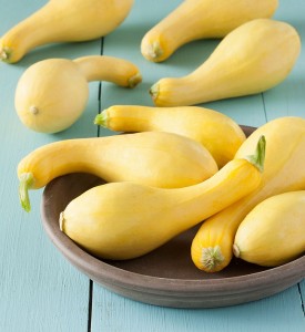 Crookneck Squash