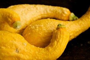 Crookneck Squash Pictures