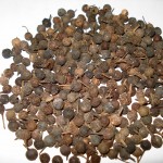Images of Cubeb