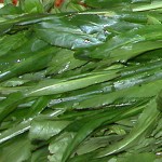 Pictures of Culantro