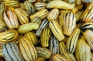 Delicata Squash Photos