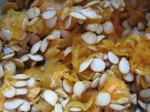 Delicata Squash Seeds Pictures