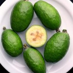 Feijoa Picture
