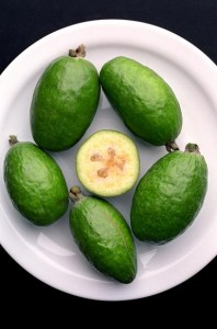 Feijoa Picture
